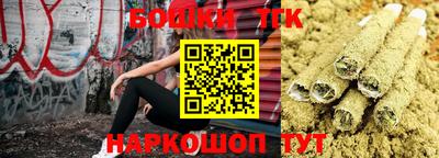 мдпв Вязьма
