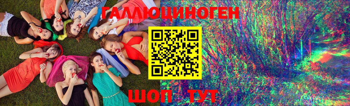 Псилоцибиновые грибы Cubensis Амурск