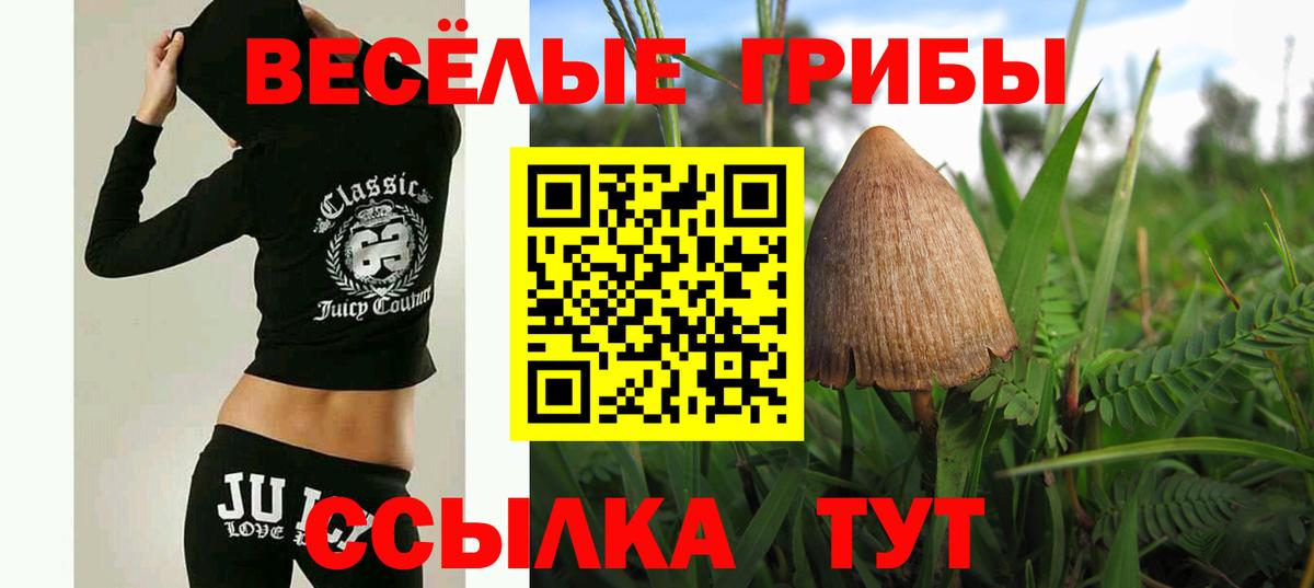 Амурск  Псилоцибиновые грибы GOLDEN TEACHER  Вход с VPN 
